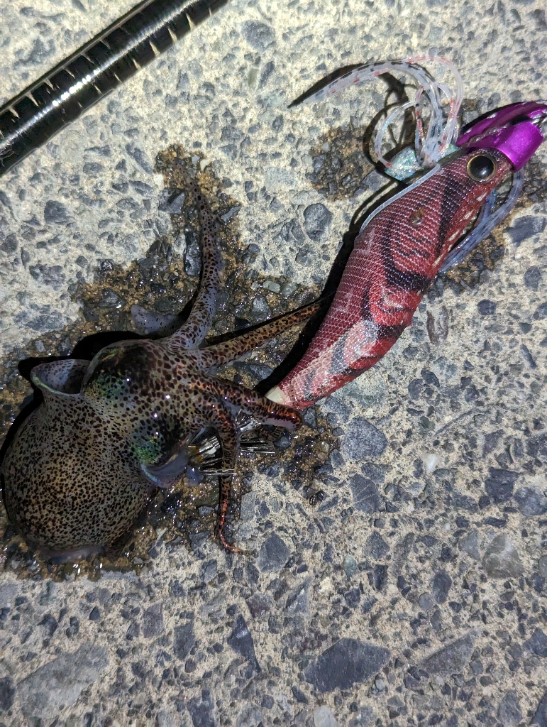 このままシーズン終了か？