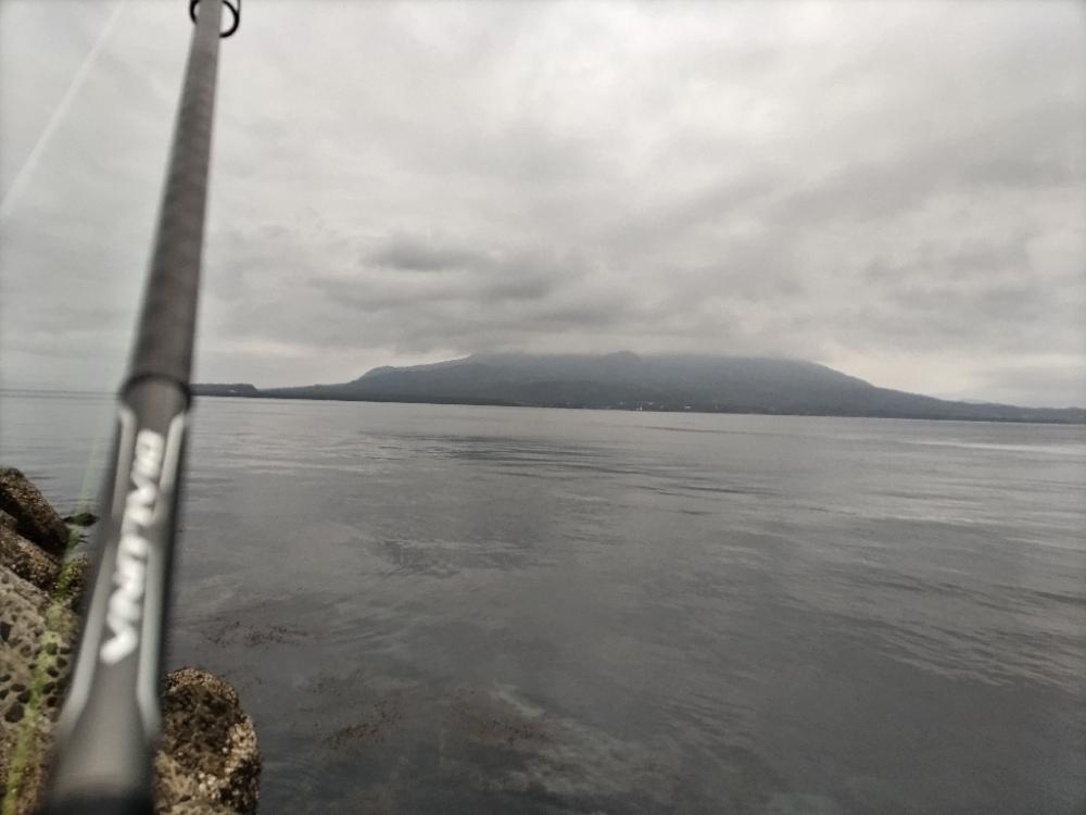 タイラバでカサゴ