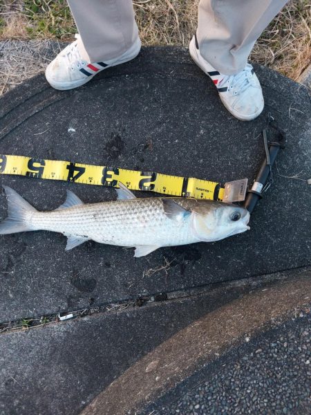 夕暮れのプチsalt water game