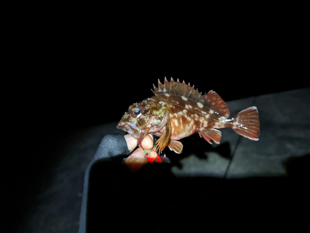 悪状況での釣り