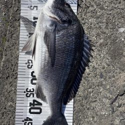 イチノ(兄)釣果!