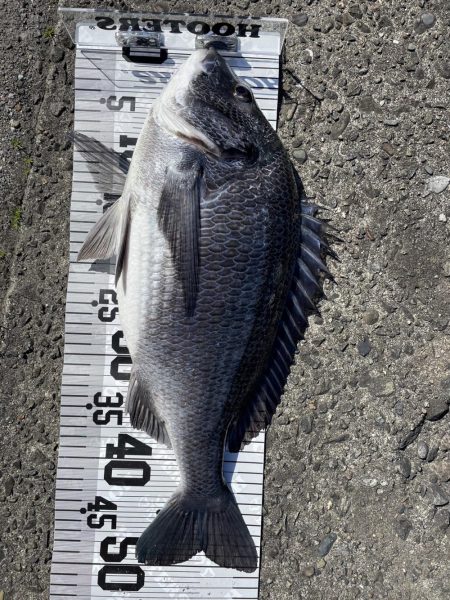 イチノ(兄)釣果!