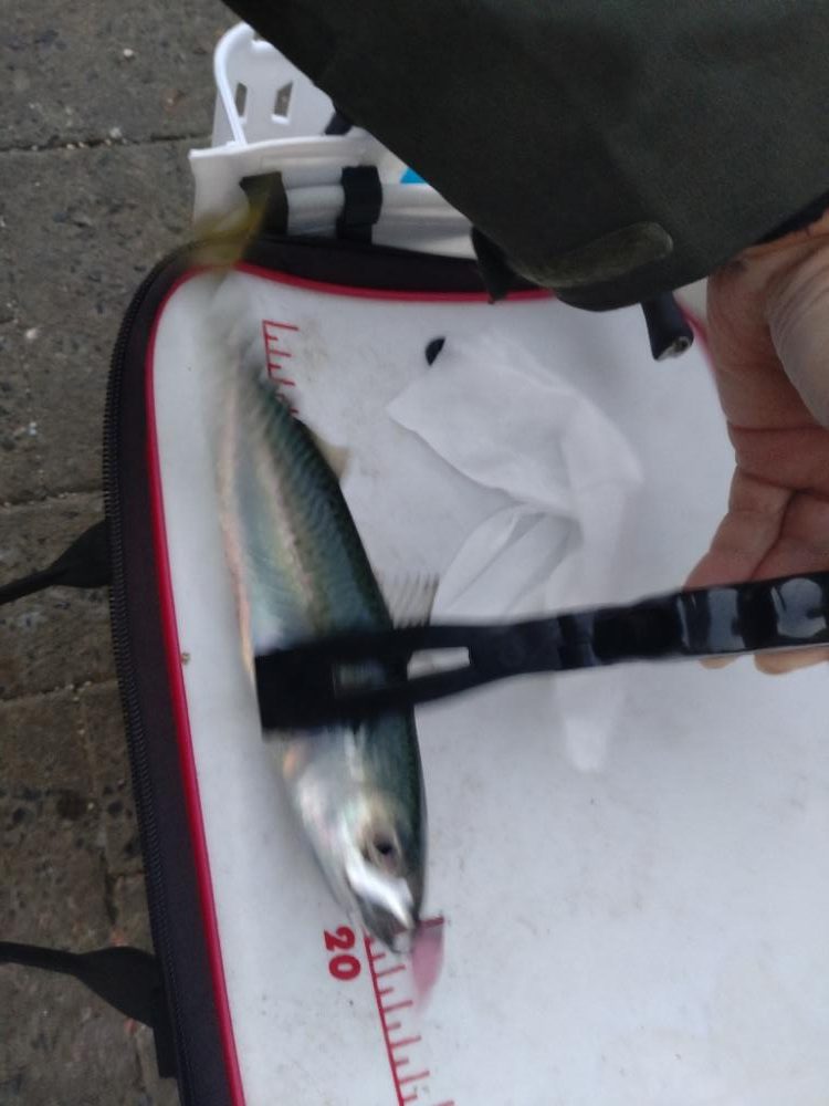 シーサイドコスモにて