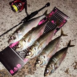 自己記録更新！