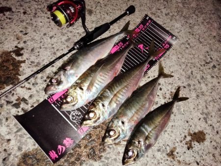 自己記録更新！