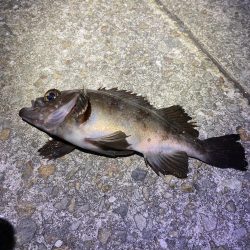 ドリフトメバリング