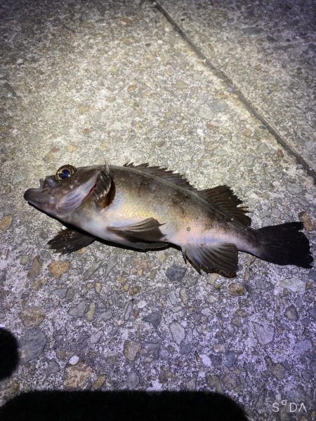 ドリフトメバリング