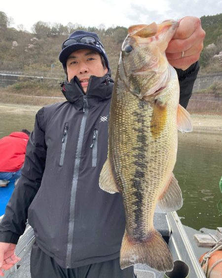 春の一庫ダムへ