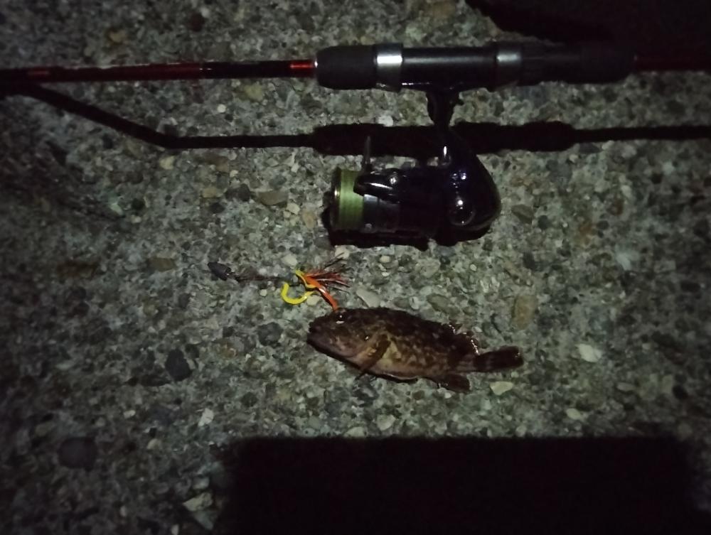 バレットシンカーとネジラバ