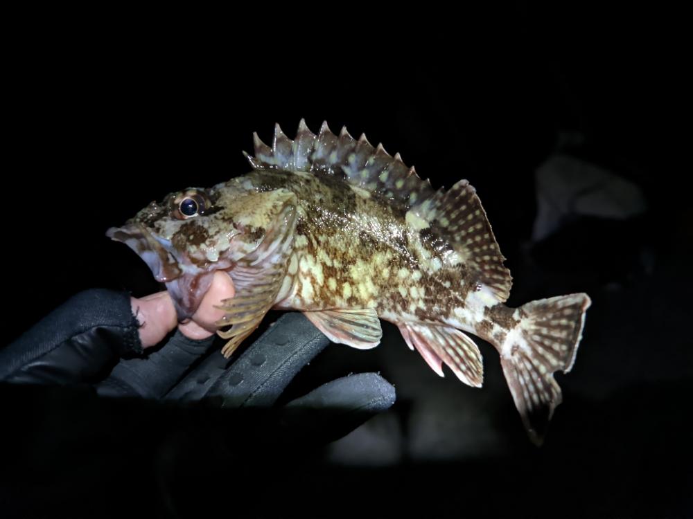 友達との釣りオール後半