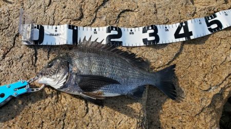 淀川ハードチニング