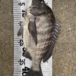 イチノ兄弟(兄)釣果!