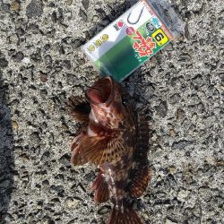 武庫川一文字で☆