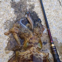 風＆ウネリエギングIN対馬