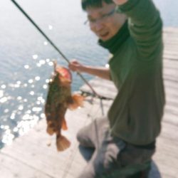 筏釣り(チヌ、コフダイ、五目