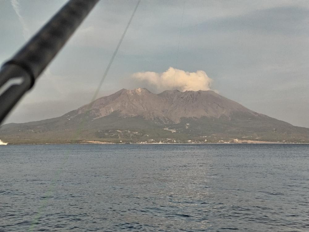カサゴ釣れました。