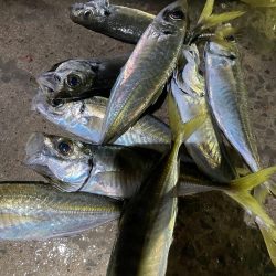 アジ釣り