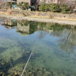 今年、初エリアトラウト!