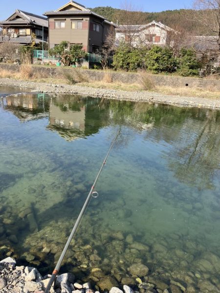 今年、初エリアトラウト!