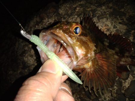 ちょい釣り20230303