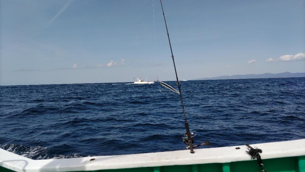 10kgオーバーのトンボ