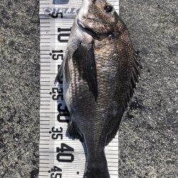 イチノ兄弟（兄）釣果！