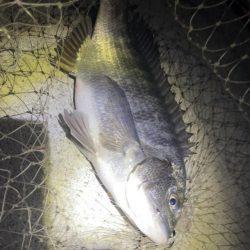 貴方でしたか…