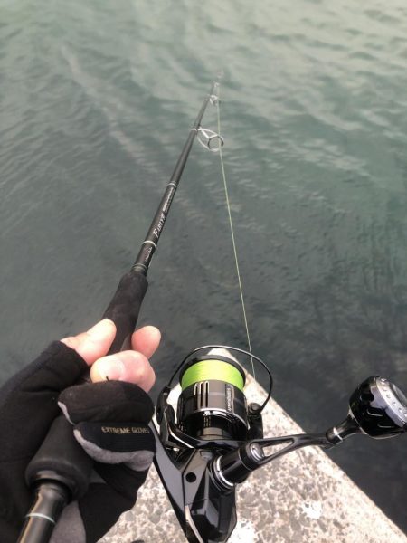 今日もサワラ狙い