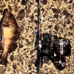 今年初の日本海!!