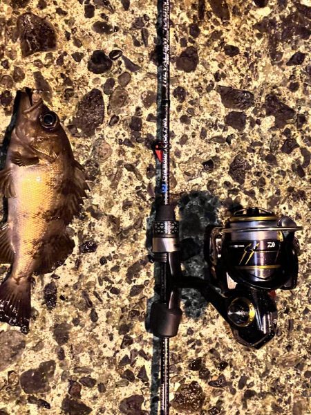 今年初の日本海！！