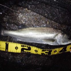 終了間際に本命のヒット…。