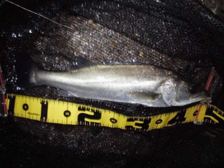 終了間際に本命のヒット…。