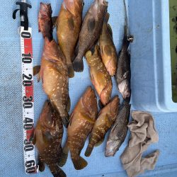 的場大島沖　キジハタ