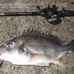 ベイトフィネスでチニング&メバルプラッギング