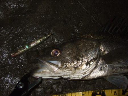 予想通りの苦戦