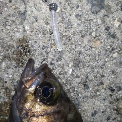 鬼爪がグッジョブでした