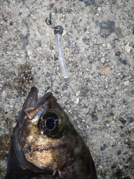 鬼爪がグッジョブでした