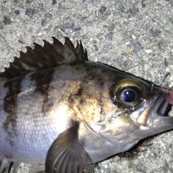 当たりはあるけど