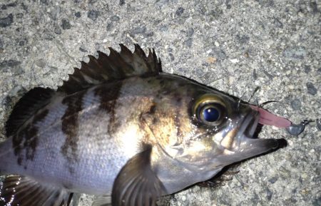 当たりはあるけど