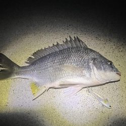 奇跡ってあります！