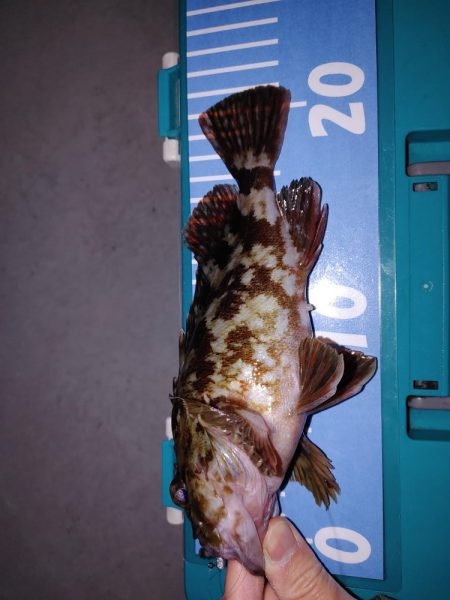 激渋メバリング