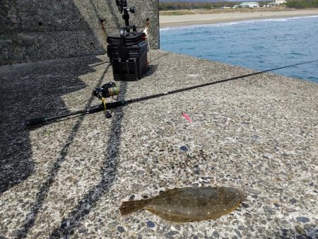 烏賊を釣りに来たのだが、何故かボトムワインドでヒラメ。