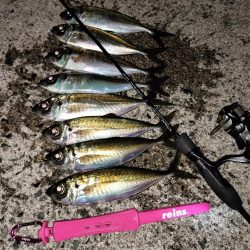 時合になれば…