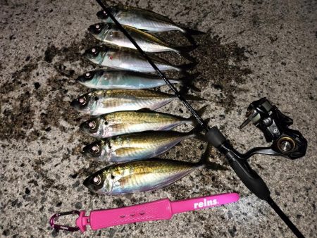 時合になれば…