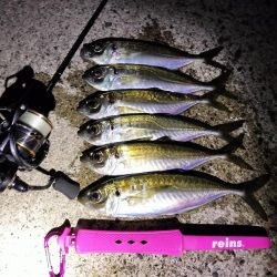 潮止まりでも関係なし