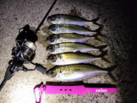 潮止まりでも関係なし