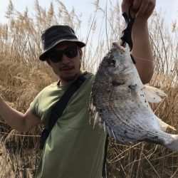 チニング ボウズ続きからの釣果