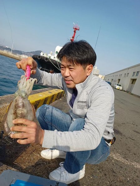 嬉しいコウイカ