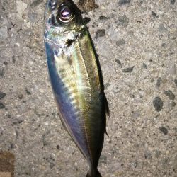 いつもの場所で