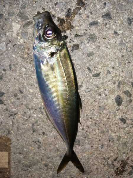 いつもの場所で